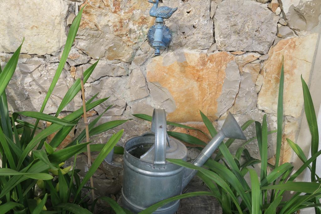 Noz Por Ca... Turismo Em Espaco Rural Alcaria  المظهر الخارجي الصورة
